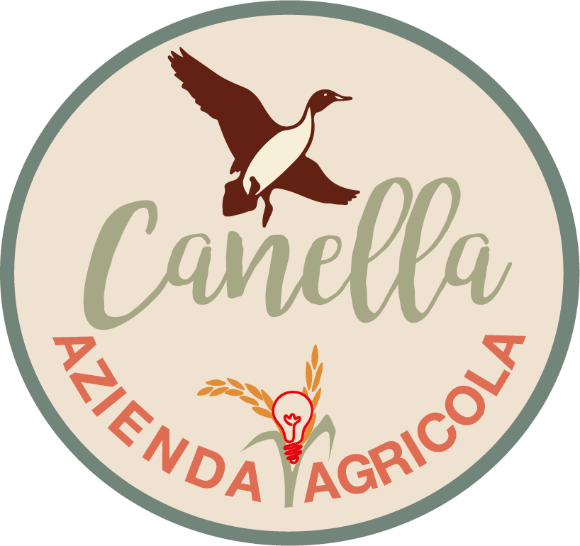 canella_logo_png